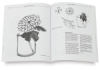 Japanese Ink Painting: The Art of sumi-e