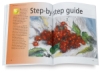 Wet-on-Wet Watercolor Painting: A Complete Guide to Techniques and Materials
