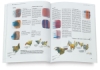 Wet-on-Wet Watercolor Painting: A Complete Guide to Techniques and Materials