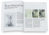 Wet-on-Wet Watercolor Painting: A Complete Guide to Techniques and Materials