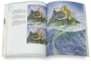 Dreamscapes: Creating Magical Angel & Faery Worlds in Watercolor