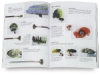 Terry Harrison’s Complete Guide to Watercolour Landscapes