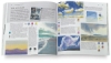 The Watercolor Artist’s Guide to Exceptional Color