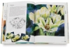 Janet Whittle’s Watercolour Flowers