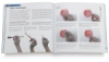 The Watercolour Wheel Book