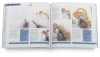The Watercolour Wheel Book