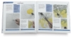 The Watercolour Wheel Book