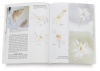 Making Color Sing: Practical Lessons in Color and Design, 25th Anniversary Edition