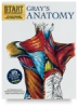 Start Exploring: Gray's Anatomy