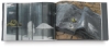 Anselm Kiefer: Alkahest