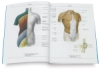 The Color Atlas of Human Anatomy