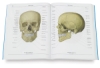 The Color Atlas of Human Anatomy