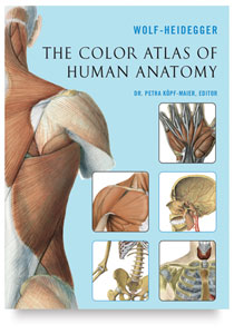 The Color Atlas of Human Anatomy