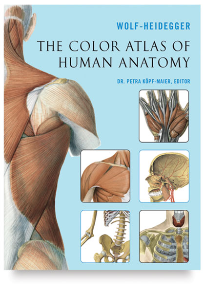 The Color Atlas of Human Anatomy