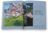 Spirit of Color: A Sensory Meditation Guide to Creative Expression