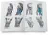 Practical Anatomy for Artists