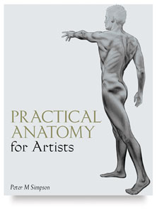 Practical Anatomy for Artists