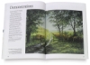 How to Paint: Watercolours
