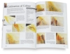 How to Paint: Colour & Light in Watercolour
