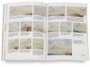 Coastal Landscapes