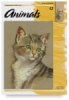 Animals 13