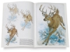 Animals 13