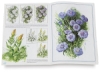 Flowers 20