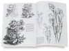 Flowers 22