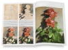 Flowers 23