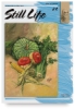 Still Life 24