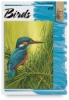 Birds 28