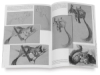 The Animals of M. Meheut 36