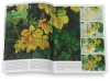 Trees and Leaves 45