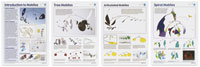 Mobiles Teaching Posters