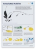 Articulated Mobiles