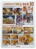 Partially Integrated Collage