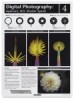 Aperture, ISO, and Shutter Speed