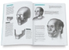 The Artist's Complete Guide to Facial Expression