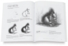 Lee Hammond’s Big Book of Drawing