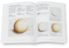 Lee Hammond’s Big Book of Drawing