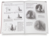 Drawing Made Easy: Understanding Values