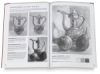 Drawing Made Easy: Understanding Values