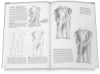 Drawing Made Easy: Lifelike Animals