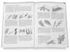 Drawing Made Easy: Dragons and Fantasy