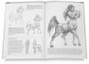 Drawing Made Easy: Dragons and Fantasy