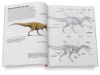 Dinosaurs: How to Draw Thunder Lizards and Other Prehistoric Beasts
