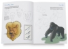 Kids Draw Animals