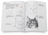 Drawing for the Absolute Beginner