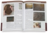 Pyrography Workbook — A Complete Guide to the Art of Woodburning