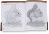 Pyrography Workbook — A Complete Guide to the Art of Woodburning